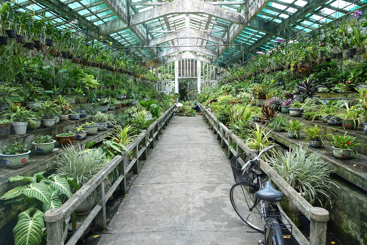 A green oasis in the heart of Ho Chi Minh City where wildlife, history, and nature meet 